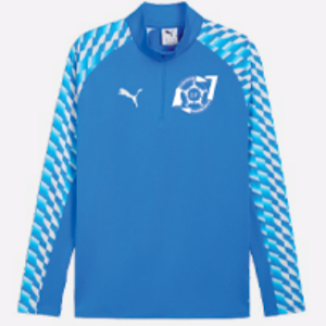 Puma teamLiga26 1/4 Zip Top - Senior